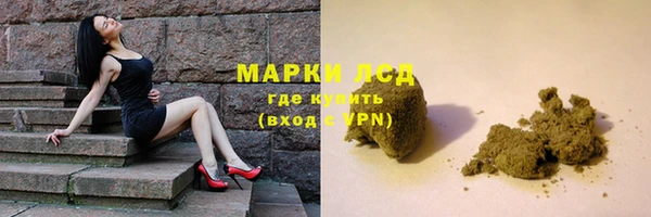 амф Гусев