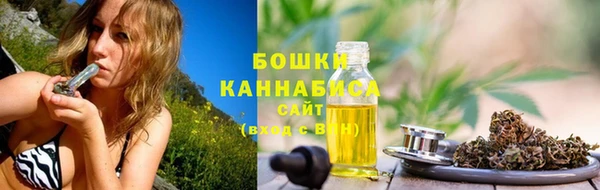 PSILOCYBIN Невель