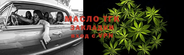 индика Гусиноозёрск