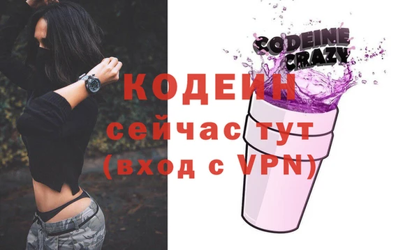 индика Гусиноозёрск