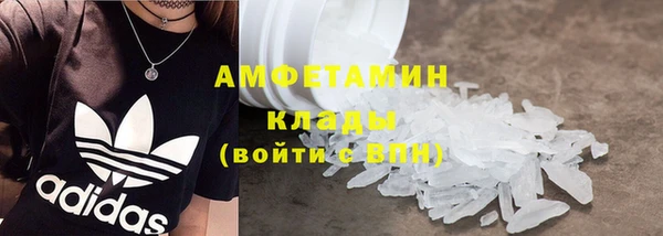 амф Гусев