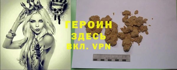 индика Гусиноозёрск