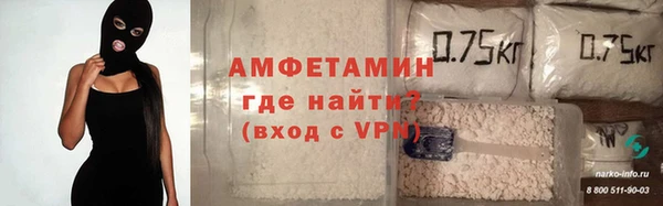 индика Гусиноозёрск
