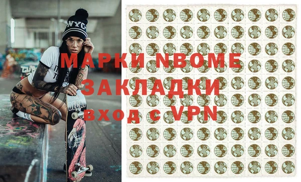 индика Гусиноозёрск