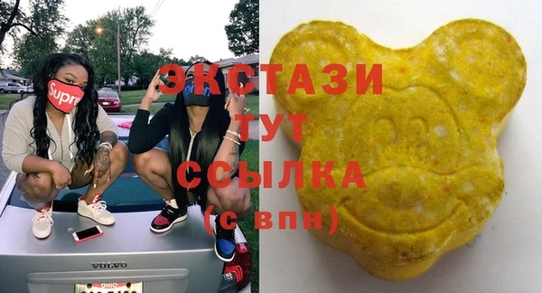 индика Гусиноозёрск