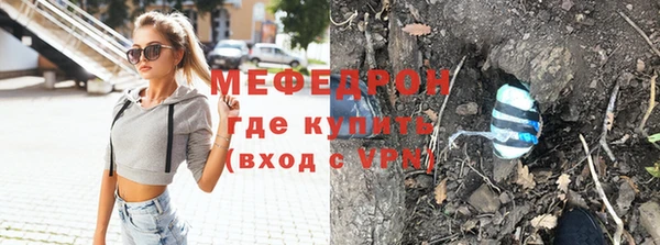 амф Гусев