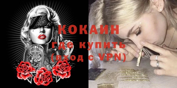 индика Гусиноозёрск