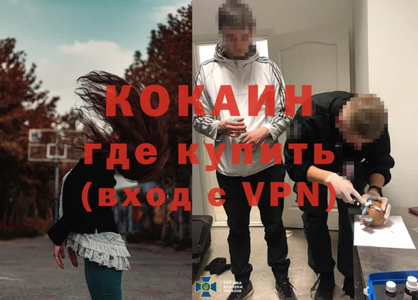 индика Гусиноозёрск