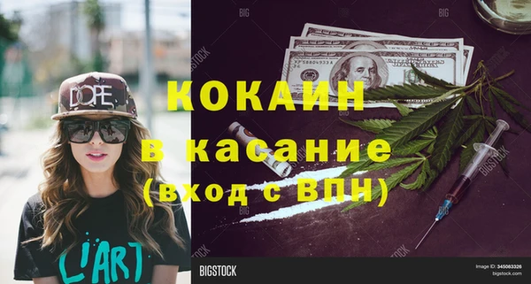 индика Гусиноозёрск