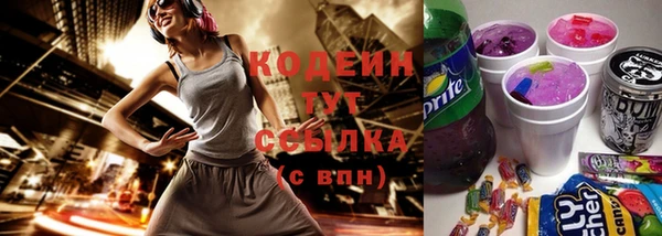 амф Гусев