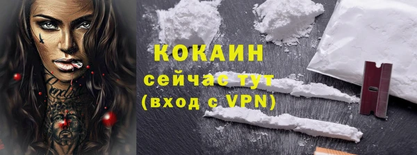 индика Гусиноозёрск