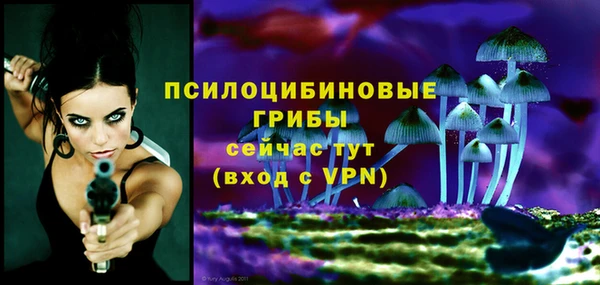 кокс Гусь-Хрустальный