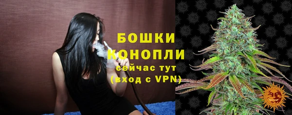 индика Гусиноозёрск