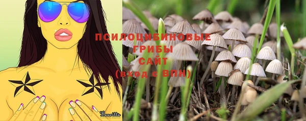 твердый Нефтекумск