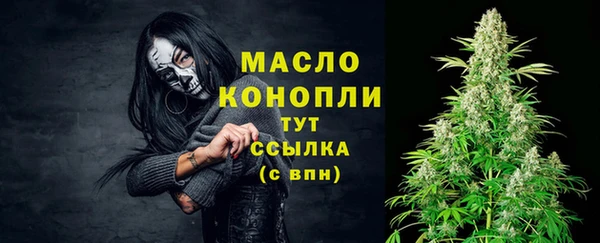индика Гусиноозёрск