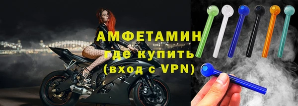 амф Гусев