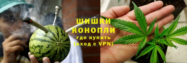 амф Гусев